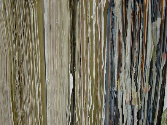 Diagenesis Fragments