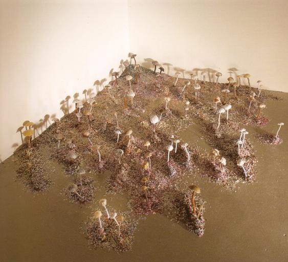 Away with the Fairies (gallery view)